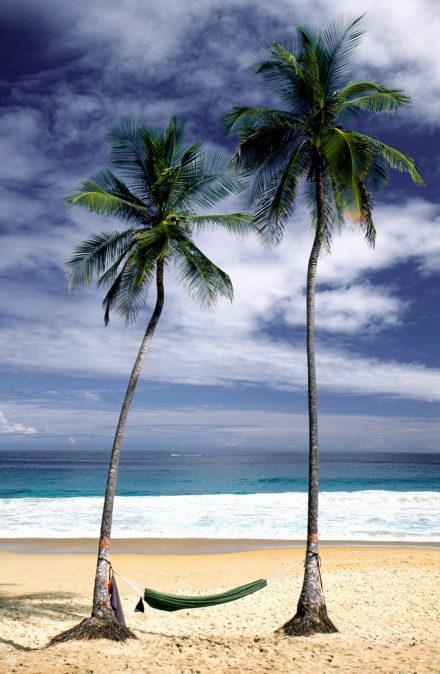Rede em Palmeiras, Praia de Uricao-Mar das caraibas, Venezuela