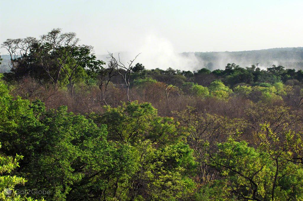 Victoria Falls, Zimbabwe, Mist