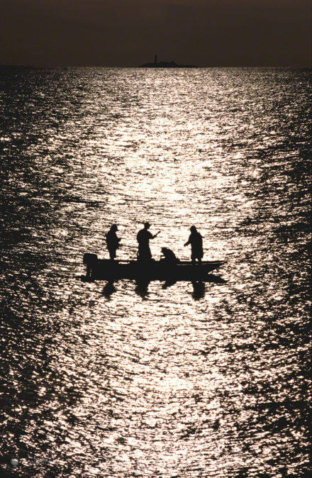 Pesca Preciosa