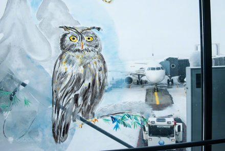 viagem de volta ao mundo, símbolo de sabedoria ilustrado numa janela do aeroporto de Inari, Lapónia Finlandesa