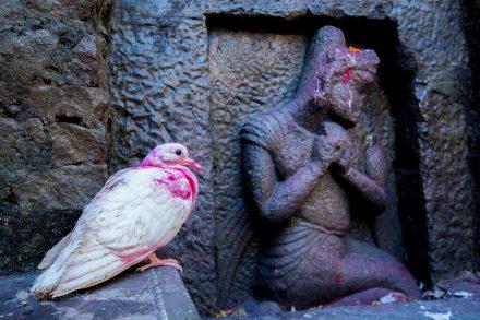 Detalhe do templo de Kamakhya, em Guwahati, Assam, Índia