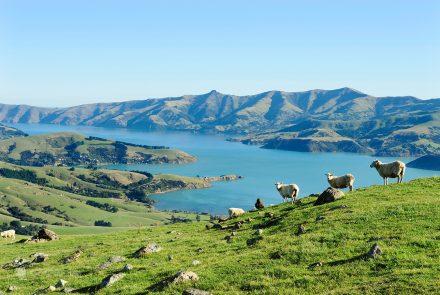 Península Banks, Akaroa, Canterbury, Nova Zelândia