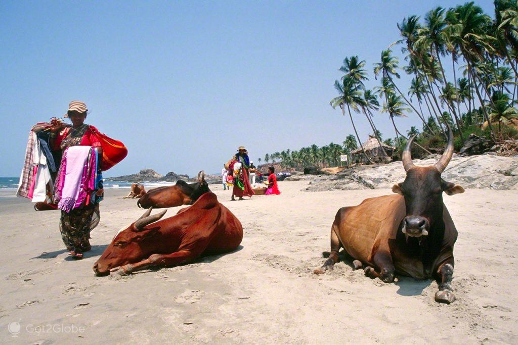 Vendedoras e Vacas balneares