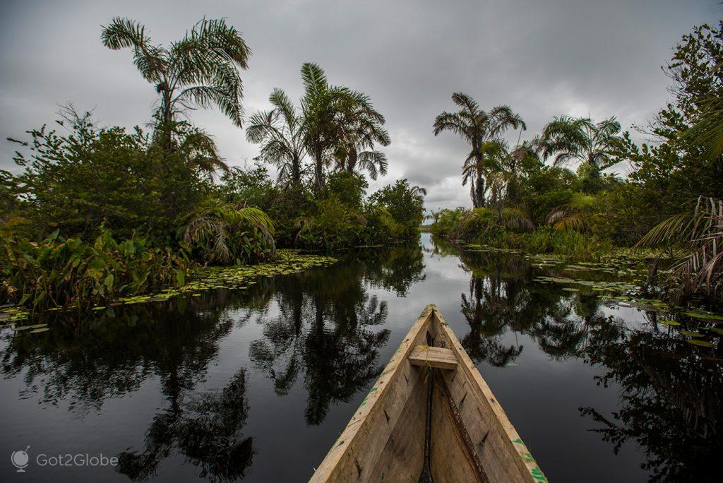 Canoe on the canal leading to Lake Amansuri, Ghana