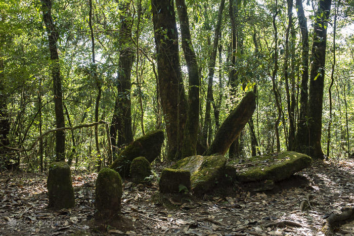 Dolmen na floresta sagrada de Mawphlang em Meghalaya, Índia