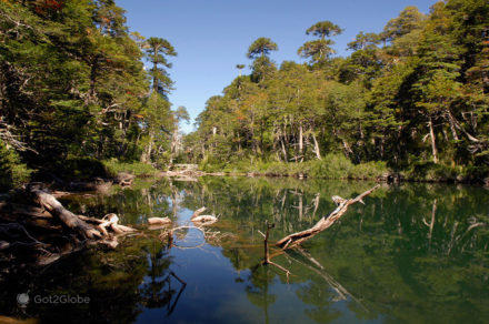Lac Tinquilco à PN Huerquehue, Pucón, La Araucania, Chili