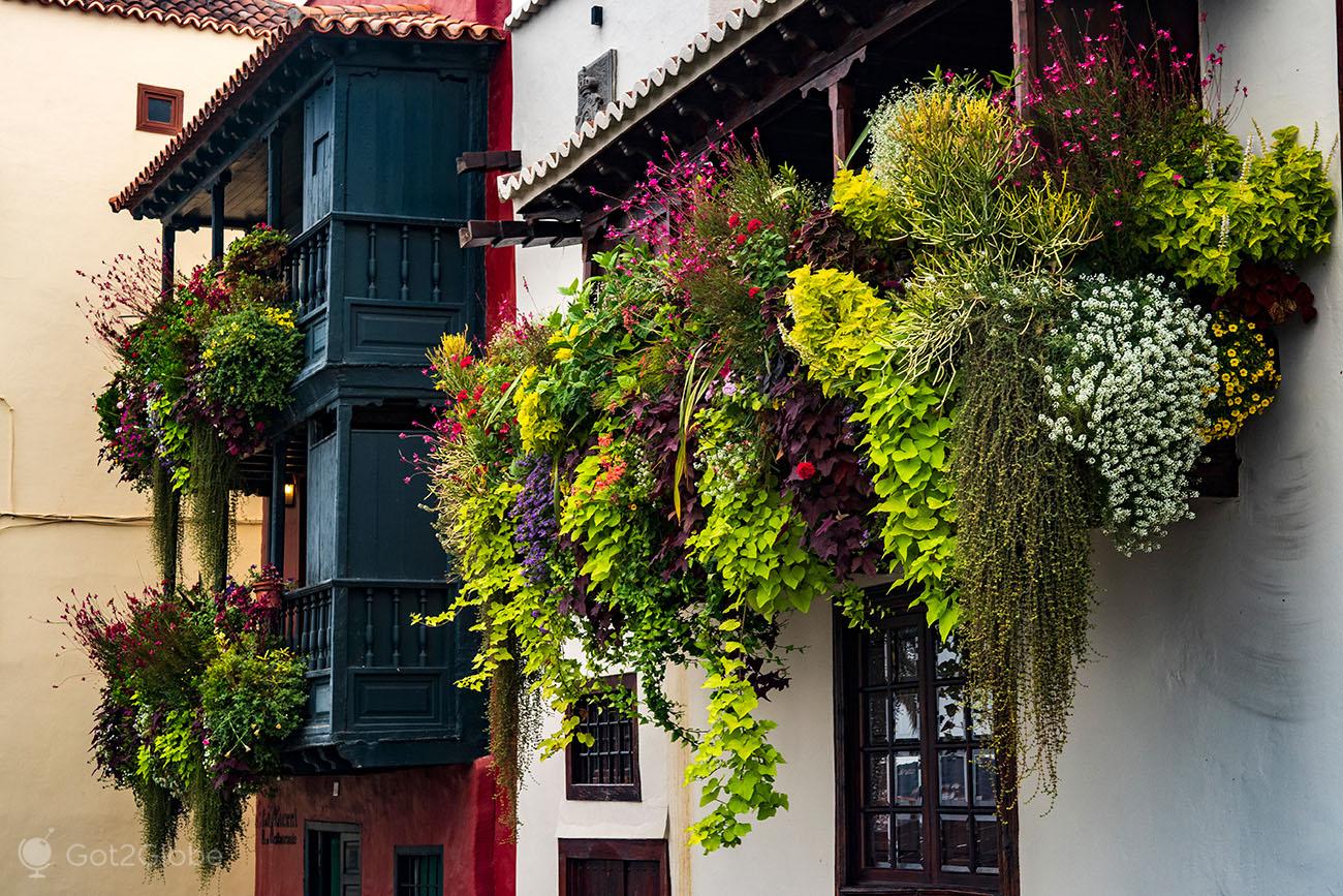 A Viagem na História de Santa Cruz de La Palma Canárias Got2Globe foto