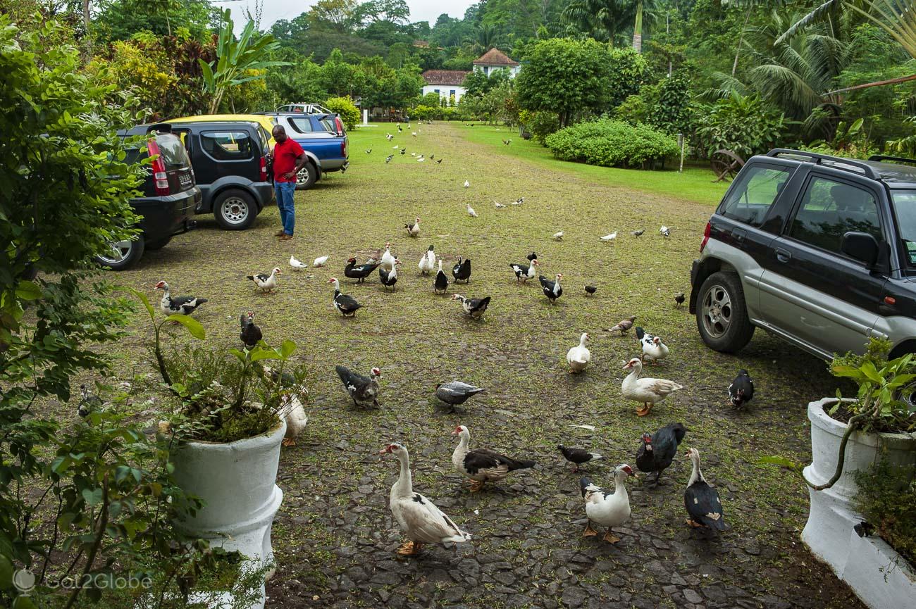 São Tomé e Príncipe Viagem até onde São Tomé Aponta o Equador