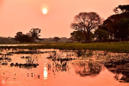 Fazenda de São João, Pantanal, Miranda, Mato Grosso do Sul, ocaso