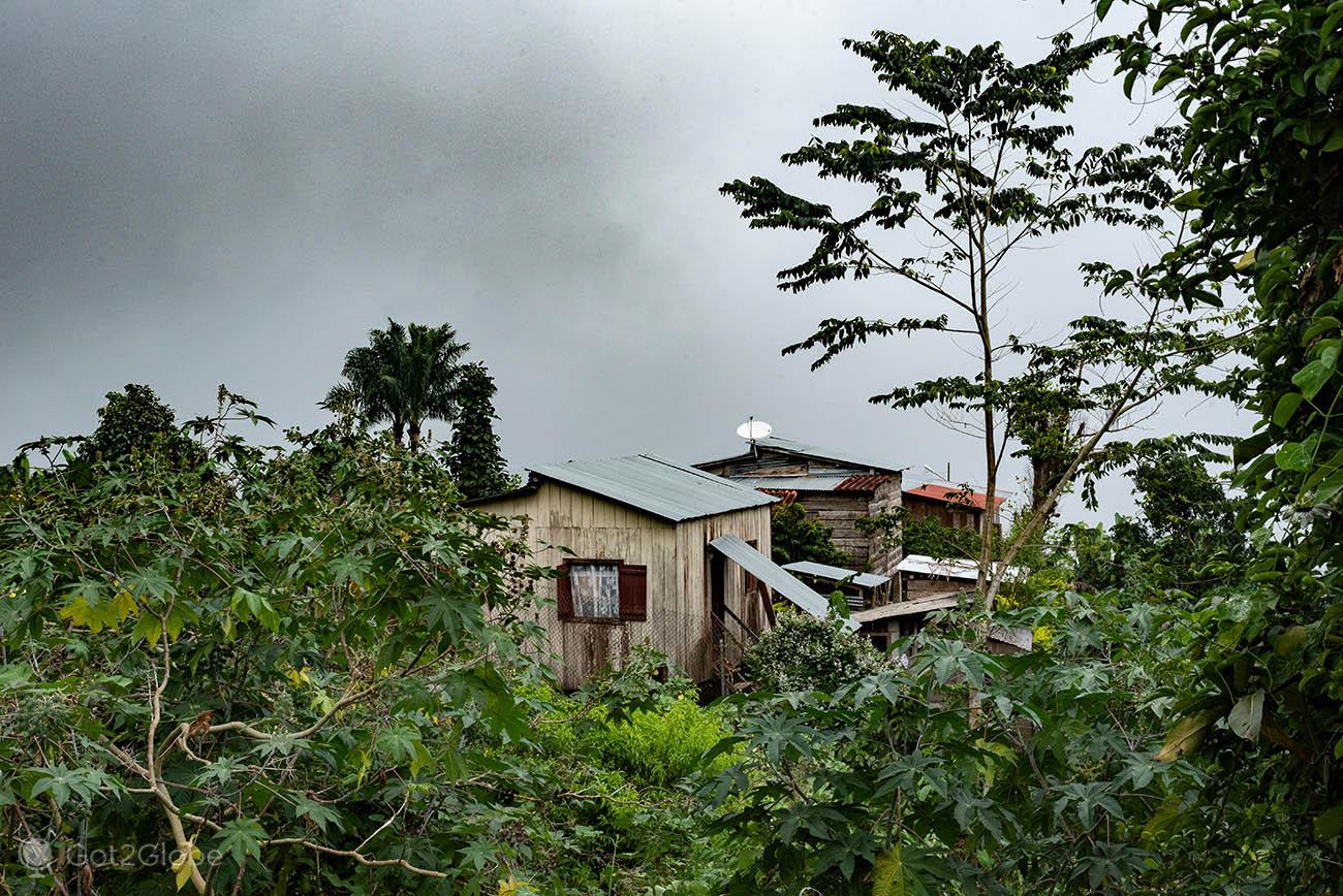 Almada Negreiros da Roça Saudade de São Tomé à Eternidade foto