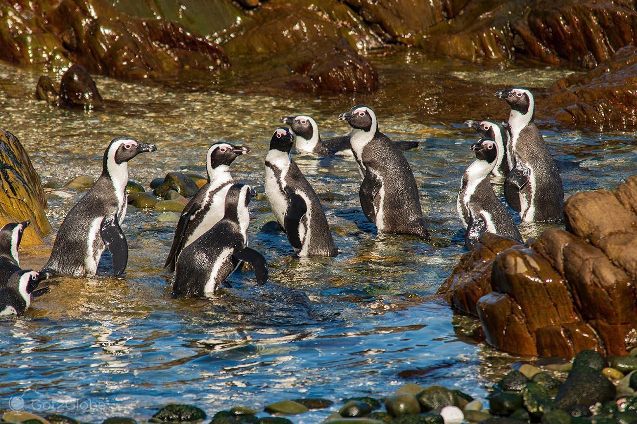 Robben Island: The Island off Apartheid | SOUTH AFRICA Robben Island: The Island off Apartheid | SOUTH AFRICA