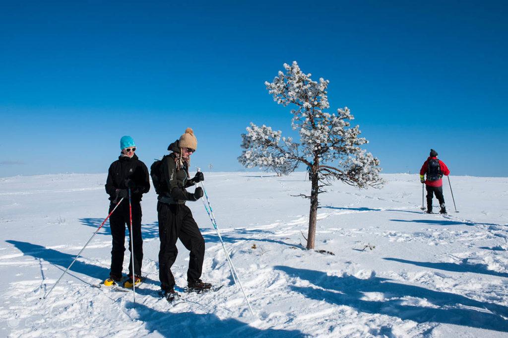 Caminhantes andam sobre raquetes na neve do PN Urho Kekkonen