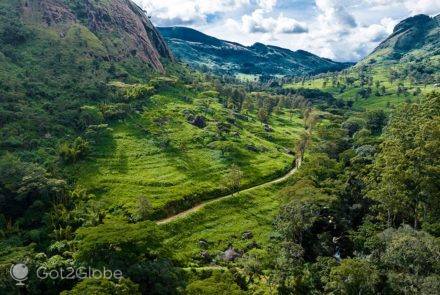 Panorama no vale Licungo e sua plantação de chá