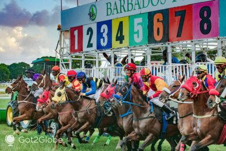 Momento de partida de uma das corridas organizadas pelo Barbados Turf Club