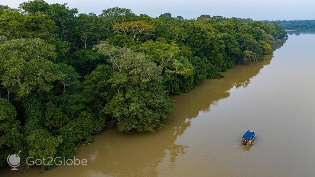Barco percorre o rio Sangha, encostado à margem camaronesa