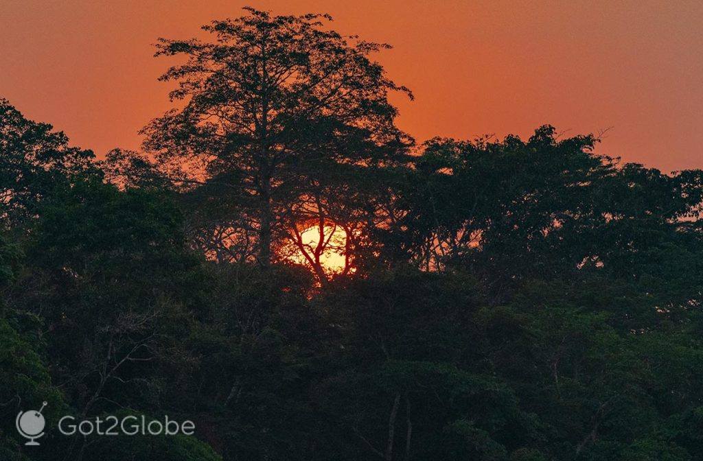 Ocaso para trás do Rio Sangha e da selva congolesa