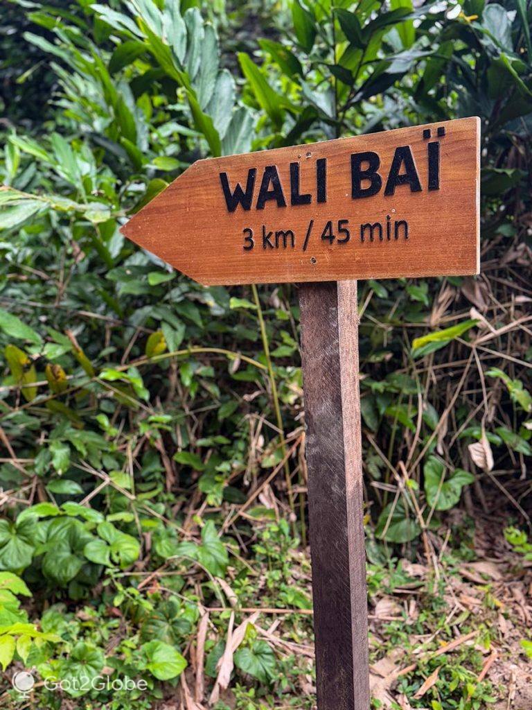 Indicação, à saída de Bon Coin, do Wali Bai, uma clareira-lago na selva da Rep. do Congo
