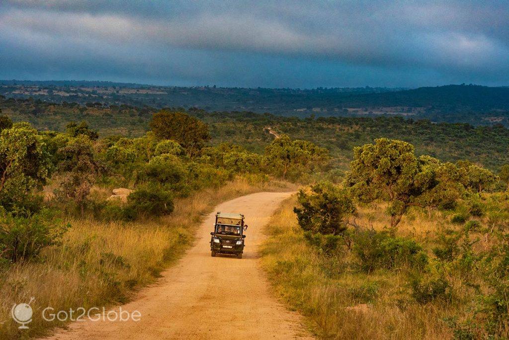 Jipe percorre uma estrada secundária do PN Kruger