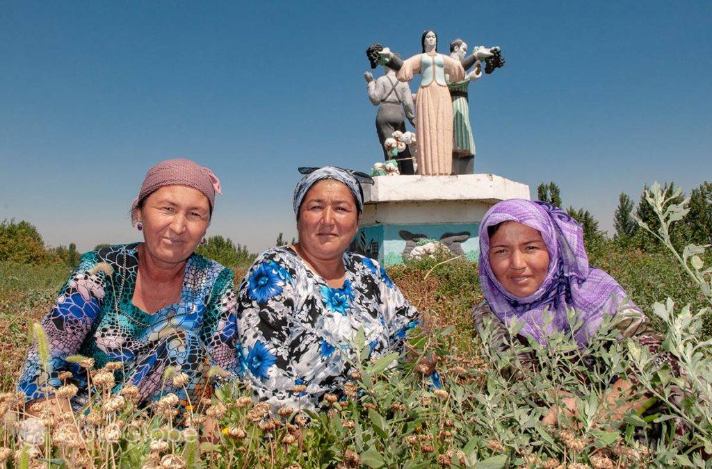 Camponesas num campo de algodão recém-plantado