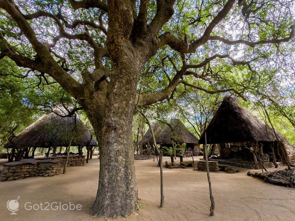 O Stone Camp da Reserva de Mkhaya.