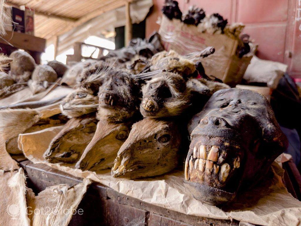 Cabeças de animais vendidos como fetiches vudu no Mercado Central