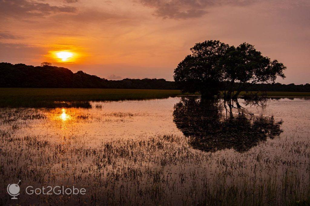Ocaso reflectido numa lagoa mantida pelas chuvas regulares