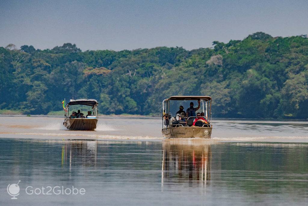 Lanchas das Expedições Ducret em navegação no rio Sangha.